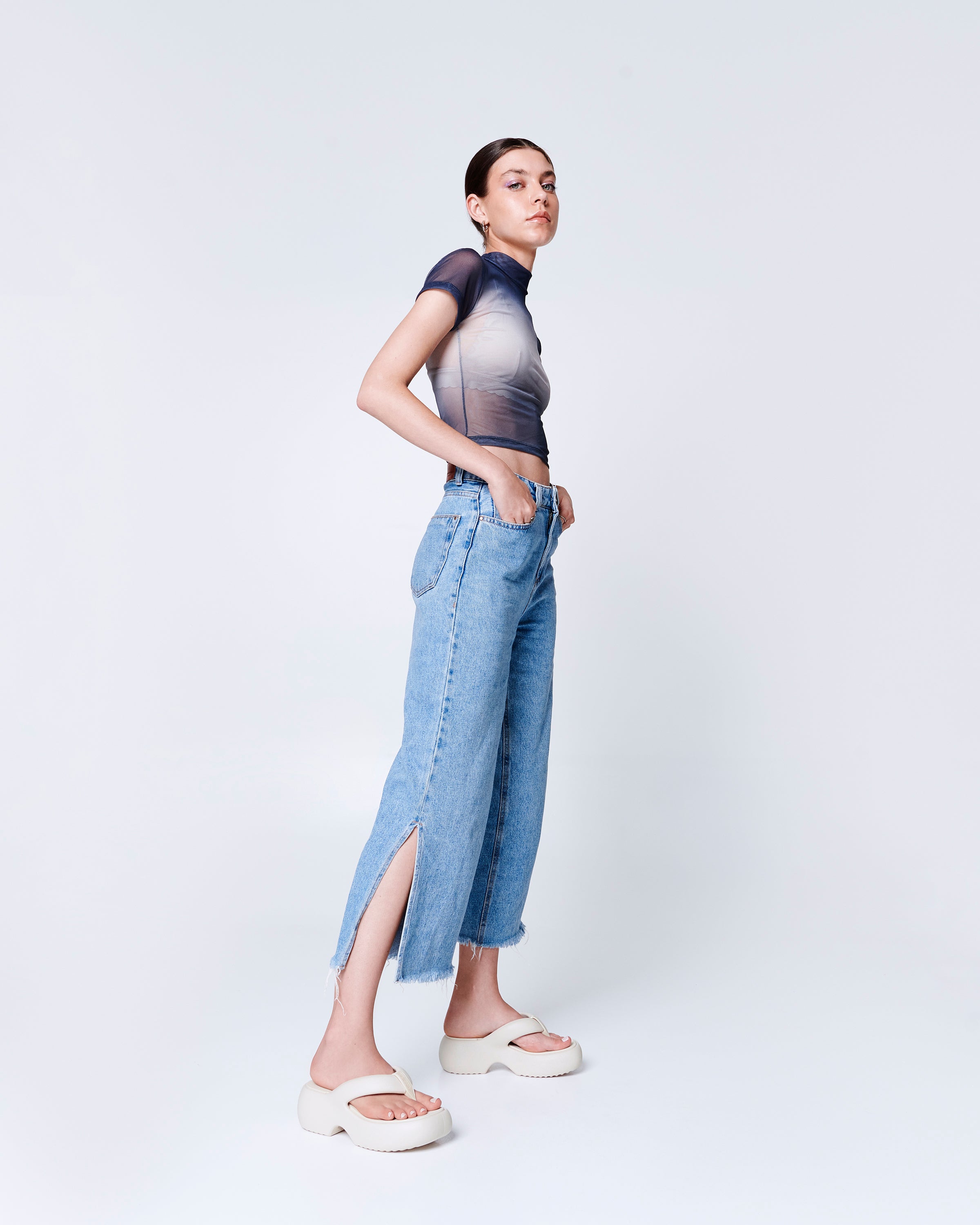 Melissa Free Fuzzy Platform