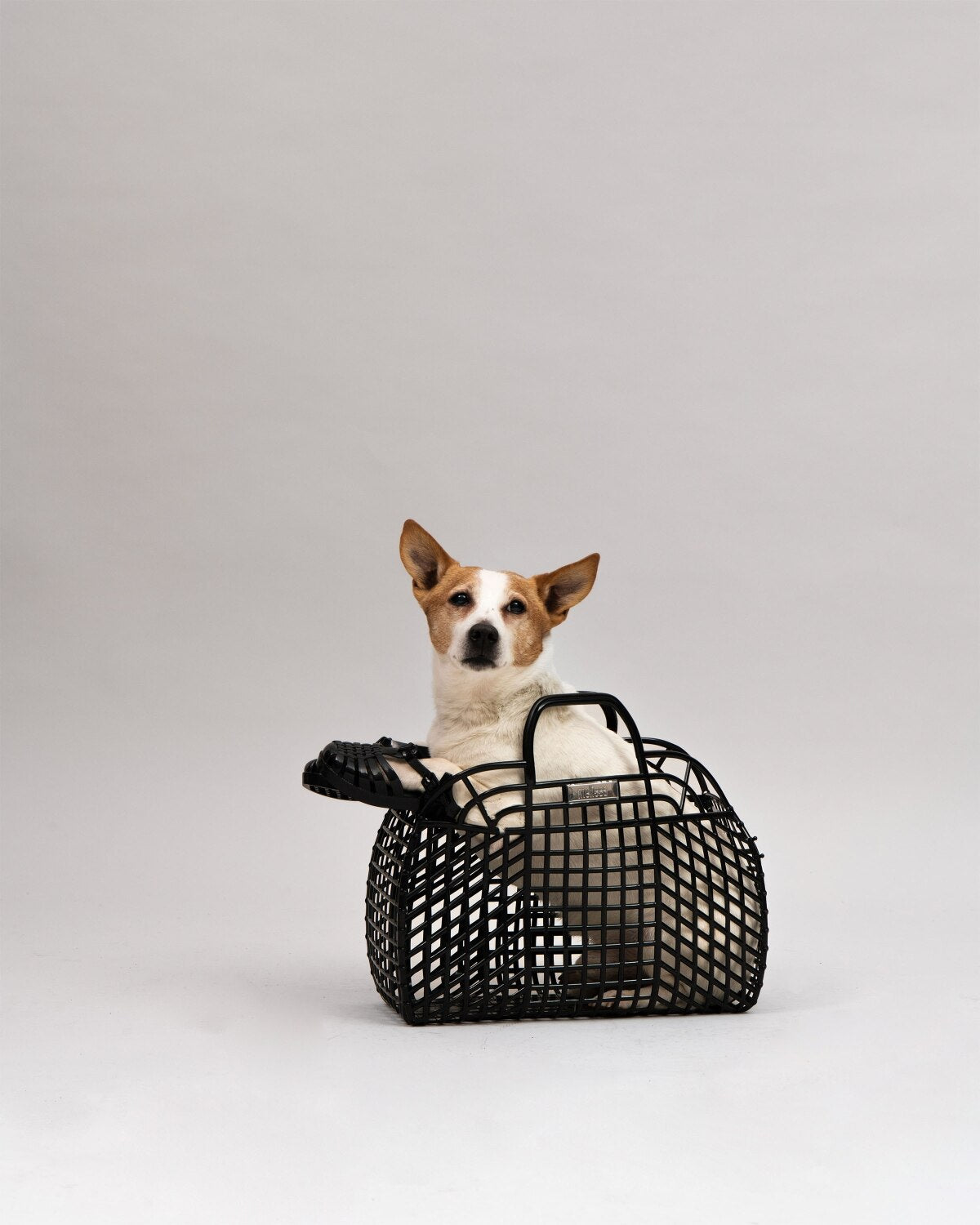 Mini Melissa Possession - Black