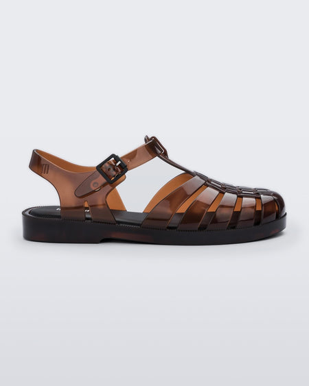 Melissa Possession Sandal- Transparent Brown